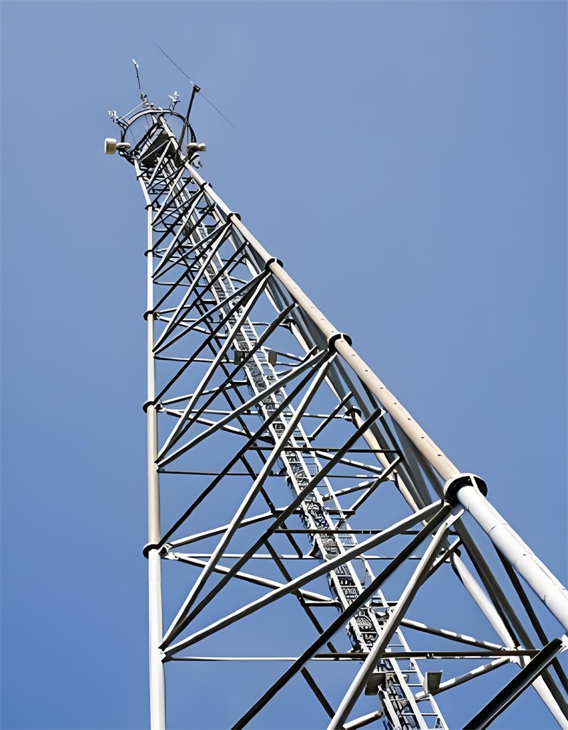 5019025e-272a-4907-9a00-2a3459d6986e